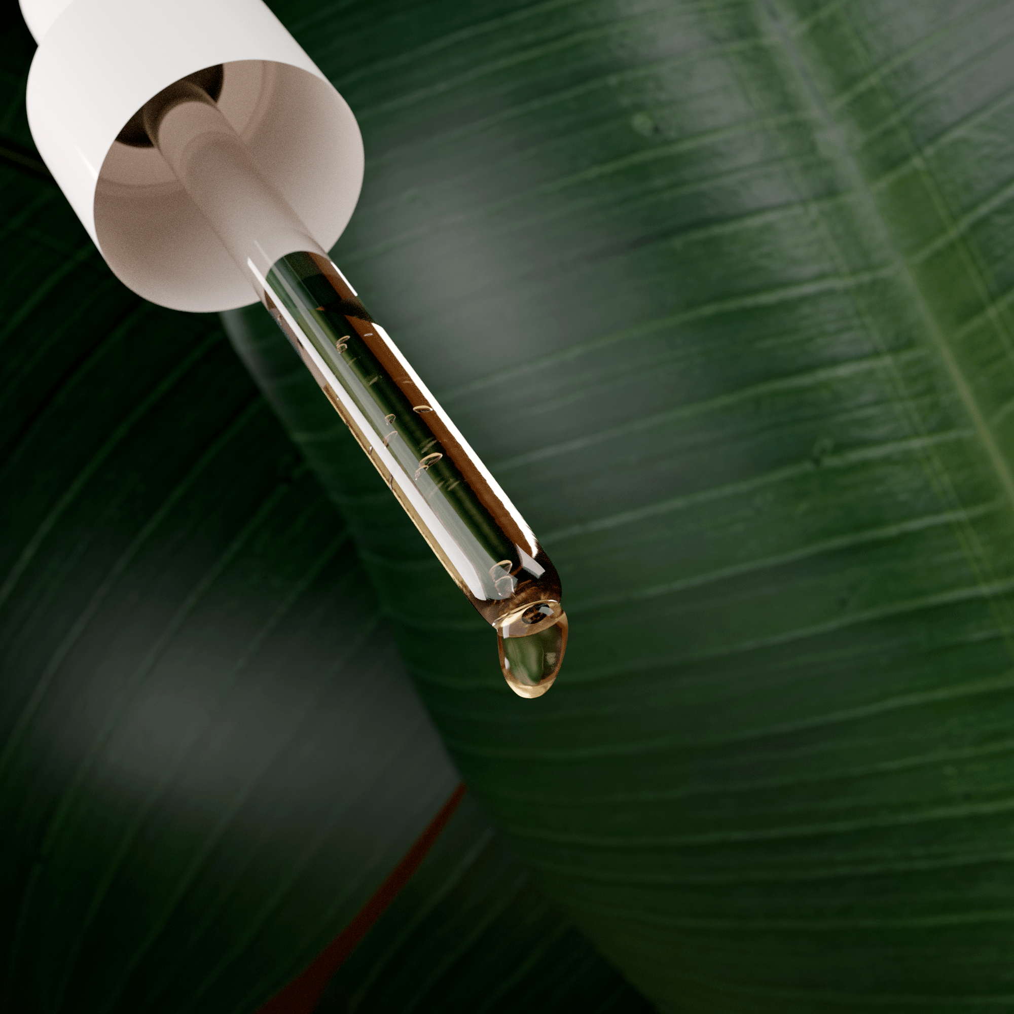 Máscara Cachos + Booster Tratamento - Linha Cachos - Hidratei